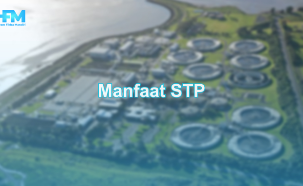 Manfaat STP